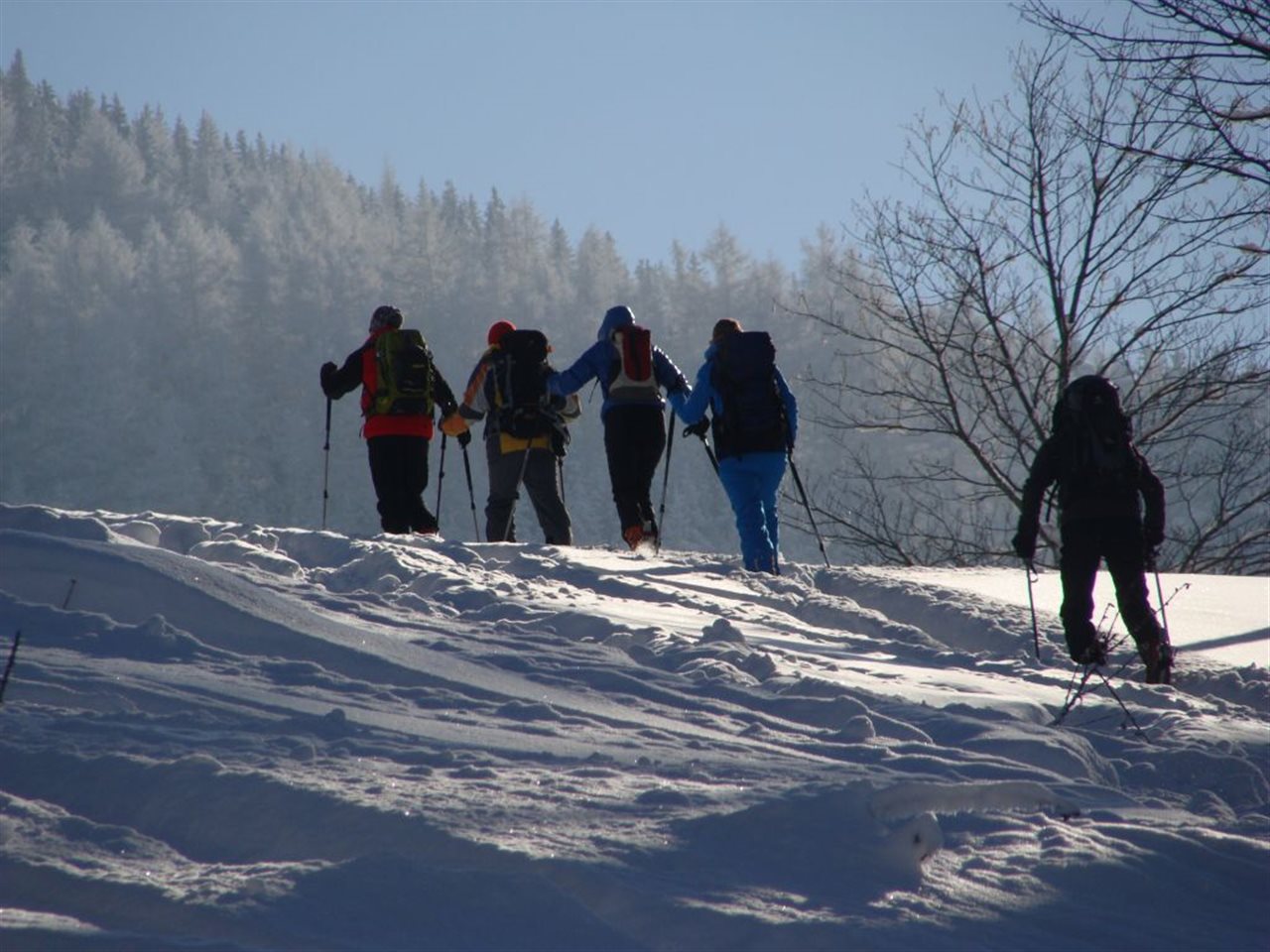 Vorweihnachtliche Skitour für Einsteiger*innen zum Eisenstein